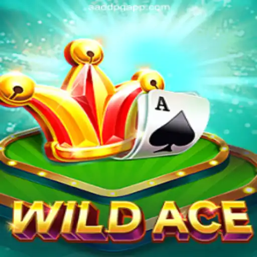 Unraveling the Excitement of WildAce